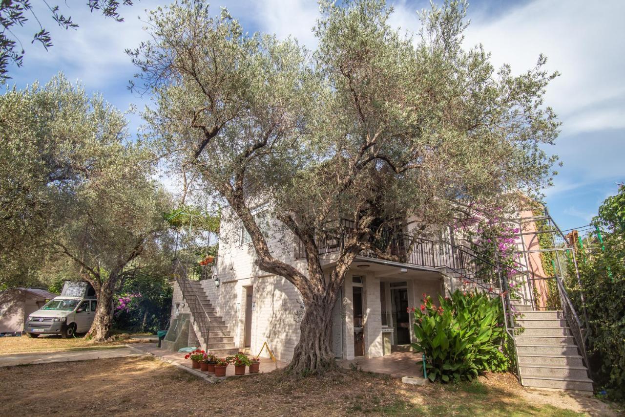 Apartment Oliva *