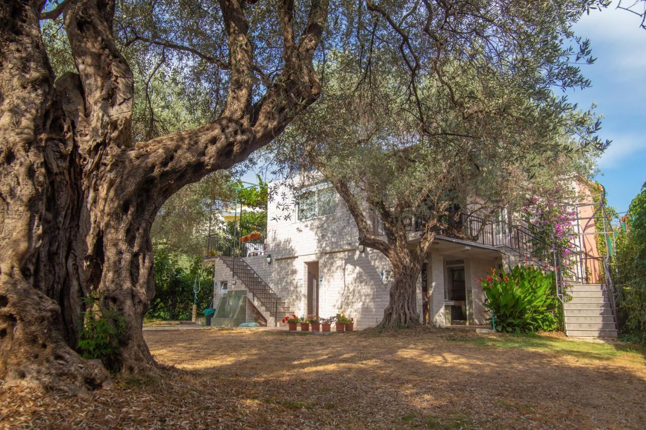 Apartment Oliva